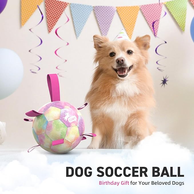 QDAN Dog Balls, Dog Soccer Ball with Straps, Pink Girl Puppy Toy Balls for Small Medium Dogs, Outdoor Water Pool Toys, Puppy Pet Birthday Gifts, Rainbow（6 Inch）