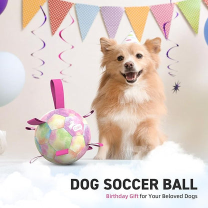QDAN Dog Balls, Dog Soccer Ball with Straps, Pink Girl Puppy Toy Balls for Small Medium Dogs, Outdoor Water Pool Toys, Puppy Pet Birthday Gifts, Rainbow（6 Inch）
