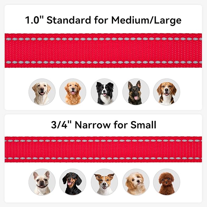 Joytale Dog Leash, 5 FT Double-Sided Reflective, Padded Handle Nylon Heavy Duty Leashes for Small Dogs Walking, Red