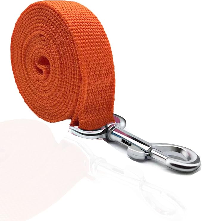 TAIAN 4FT/5FT/6FT Strong Dog Leash, Nylon Dog Leashes for Small Medium Large Dogs (3/4 in x 5 ft, Orange)