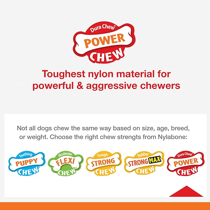 Nylabone PRO Action Dental Bone Power Chew Toy for Dogs, Dog Toys for Aggressive Chewers, Bacon Flavor, Medium - Up to 35 lbs, 1 Count