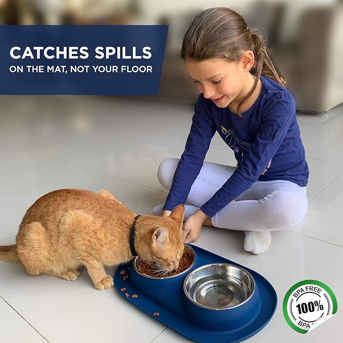 Bonza Cat or Small Dog Bowls with Spill-Proof Mat,12 oz Stainless Steel Feeding Dishes