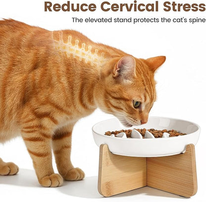 PETTOM Slow Feeder Cat Bowl Elevated Ceramic with Bamboo Stand, Raised Pet Puzzle Dishes for Indoor Cats Small Dog, Anti Vomit Cat Bowl for Wet & Dry Food