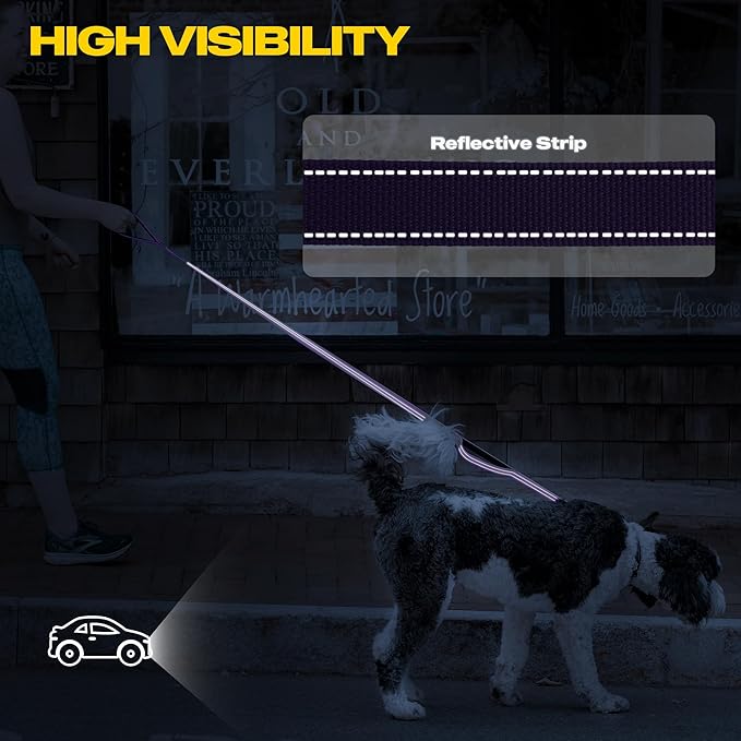 Fida 4 FT Heavy Duty Dog Leash with 2 Comfortable Padded Handles, Traffic Handle & Advanced Easy Snap Hook, Reflective Walking Lead for Large, Medium & Small Breed Dogs, Purple