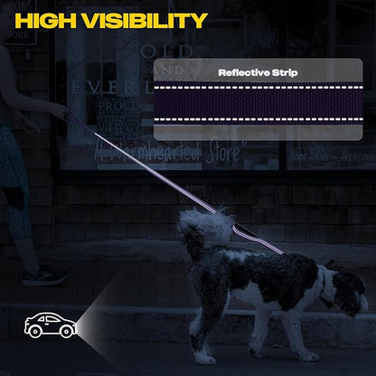 Fida 4 FT Heavy Duty Dog Leash with 2 Comfortable Padded Handles, Traffic Handle & Advanced Easy Snap Hook, Reflective Walking Lead for Large, Medium & Small Breed Dogs, Purple