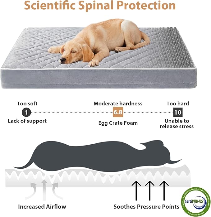 WNPETHOME Orthopedic Waterproof Extra Large Dogs Bed with Removable Washable Cover, Multi-Needle Quilting XL Crate Bed for Large Sized Dog, Light Grey