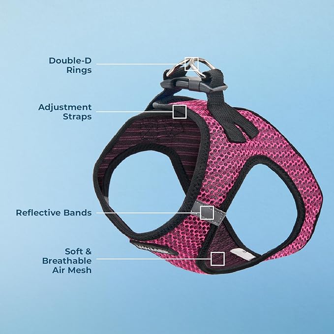 Best Pet Supplies Voyager Step-in Air Harness - All Weather Mesh, Reflective, No Pull Harness for Dogs, Cats - Secure with Hook & Loop Fastener, Buckle, Double D-Rings - Fuchsia 2-Tone, M