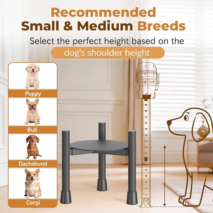 Single Elevated Dog Bowl Stand for Small Medium Breed, Adjustable Width 6-10in, 10in Tall Non-Slip Metal Raised Puppy Food Feeder Water Holder, Fits Various Size Ceramic Stainless Steel Pet Bowl