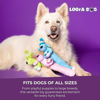 Multipet Loofa Dog Plush Toy w/ Birthday Hat - Squeaky Dog Toy for Dogs - Soft Plush - Stuffed Animal Dog Toys for Playing (1 Count, 12”, Random Color Surprise)