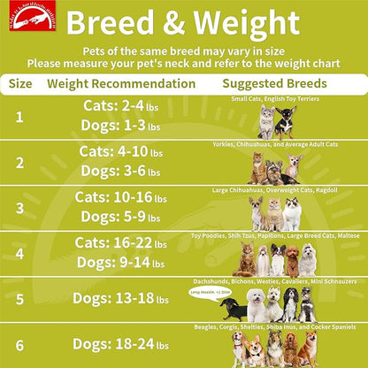 Agape Soft Dog Cone for Small Dogs & Cats, Comfy Dogs Recovery Collar After Surgery, Adjustable E Collar Alternative to Stop Licking, Protective Elizabethan Cones for Pup&Kitty, Comfortable Dog Cones