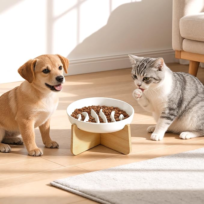 PETTOM Slow Feeder Cat Bowl Elevated Ceramic with Bamboo Stand, Raised Pet Puzzle Dishes for Indoor Cats Small Dog, Anti Vomit Cat Bowl for Wet & Dry Food