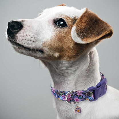 Faygarsle Cotton Dog Collar Cute Dog Collars for Small Medium Large Dogs Purple Floral Colored Options Soft and Fancy Pet Collars for Girls Flower Pattern for Girl Dog Collar S