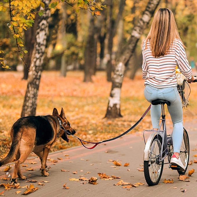 Dog Training Leash 6ft for Large Medium Dogs-2 Padded Traffic Handle Rope- Heavy Duty Shock Absorbing Bungee- Optional Hands Free for Dog Training, Walking, Jogging & Biking (Red)