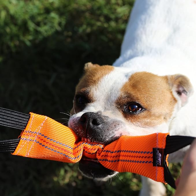 Bungee Dog Bite Tug Toy with 2 Strong Handles - Made of Durable & Tear-Resistant Fire Hose - Perfect for Tug of War, Fetch & Puppy K9 Training - Ideal Pull Toy for Medium to Large Dogs, Orange