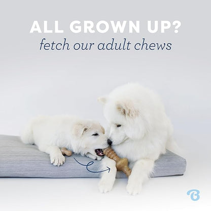Benebone Puppy 4-Pack Dog Chew Toys, Made in USA, 30lbs and Under, for Modest Chewers