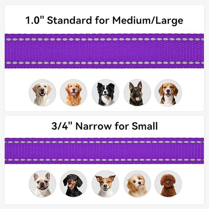 Joytale Dog Leash, 4 FT Double-Sided Reflective, Padded Handle Nylon Heavy Duty Leashes for Small Dogs Walking, Purple