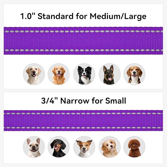 Joytale Dog Leash, 4 FT Double-Sided Reflective, Padded Handle Nylon Heavy Duty Leashes for Medium & Large Dogs Walking, Purple