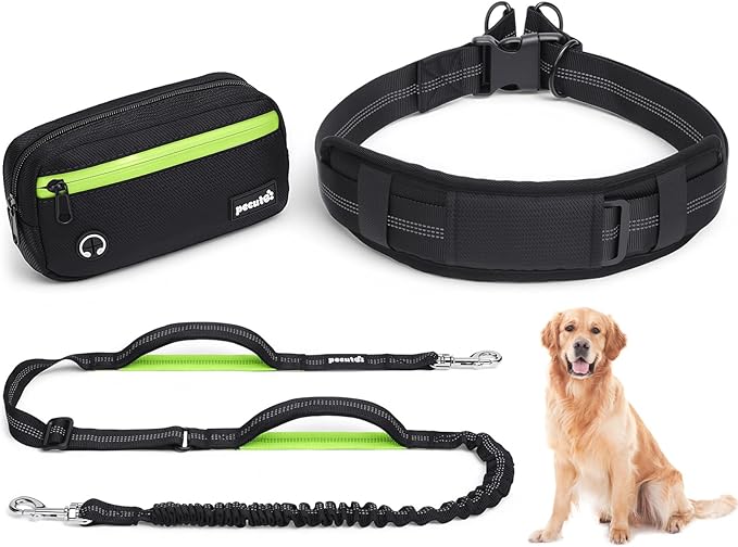 Dog Leash Hands Free, Waist Leash for Dog Walking with Pouch Removable| Shock Absorbing Bungee| Thickened Lumbar pad & Comfortable Dual Handles| Dog Running and Training,for 33-120lbs Dogs