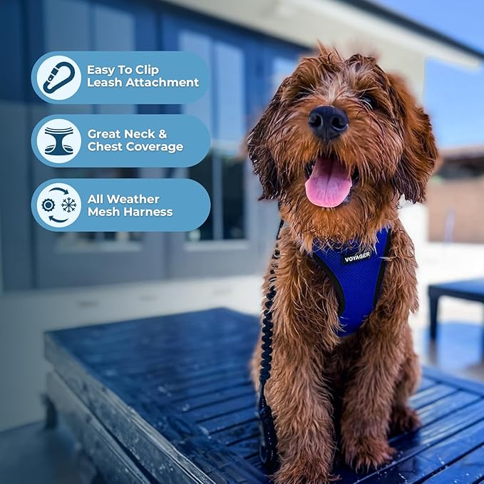 Best Pet Supplies Voyager Step-in Air Harness - All Weather Mesh, Reflective, No Pull Harness for Dogs, Cats - Secure with Hook & Loop Fastener, Buckle, Double D-Rings - Royal Blue/Black Trim, S