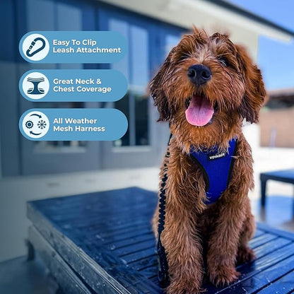 Best Pet Supplies Voyager Step-in Air Harness - All Weather Mesh, Reflective, No Pull Harness for Dogs, Cats - Secure with Hook & Loop Fastener, Buckle, Double D-Rings - Royal Blue/Black Trim, S