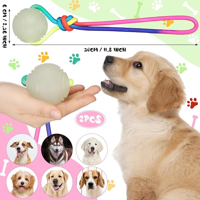 2 Pcs Dog Training Ball on Rope Glow in The Dark Ball 2.36 Inch Toys with 12 Inch Rope for Small Large Medium Dogs Glowing Interactive Pull Reward Fetch Exercise Toy
