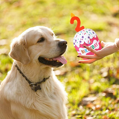 Dog Birthday Cake Toy Accessories for Girl Boy Gifts, Squeaky Plush Toy for Dog Birthday Party Decor Favor for Large, Medium and Small Dogs(2nd,Pink)