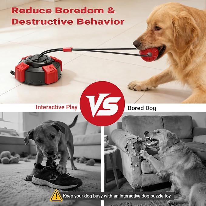Dog Chew Toy, Super Strong Suction Cup Dog Tug Toy, Interactive Chew Ball with Rope for Indoor & Outdoor Play, Ideal for All Breeds