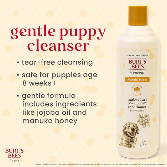Burt’s Bees for Pets Manuka Honey Tearless 2 in 1 Shampoo and Conditioner for Puppies with Jojoba Oil, 16 Fl Oz