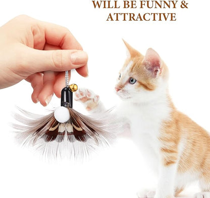 POPETPOP Cat Replacement Heads 6 Pcs Realistic Insect Teaser with Bell for Interactive Indoor Cat Toys