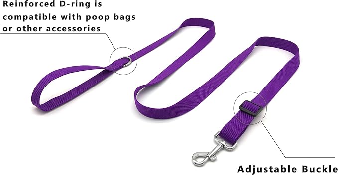 TAIAN Adjustable Nylon Dog Leash, 6 Foot Long Dog Leashes for Medium Large Dogs