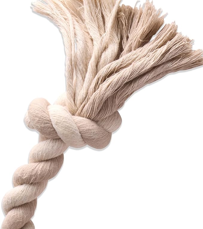 Natural Rubber Tire and Organic Cotton Rope Pull and Chew Dog Toy for All Pet Breeds, Almond Milk, Medium