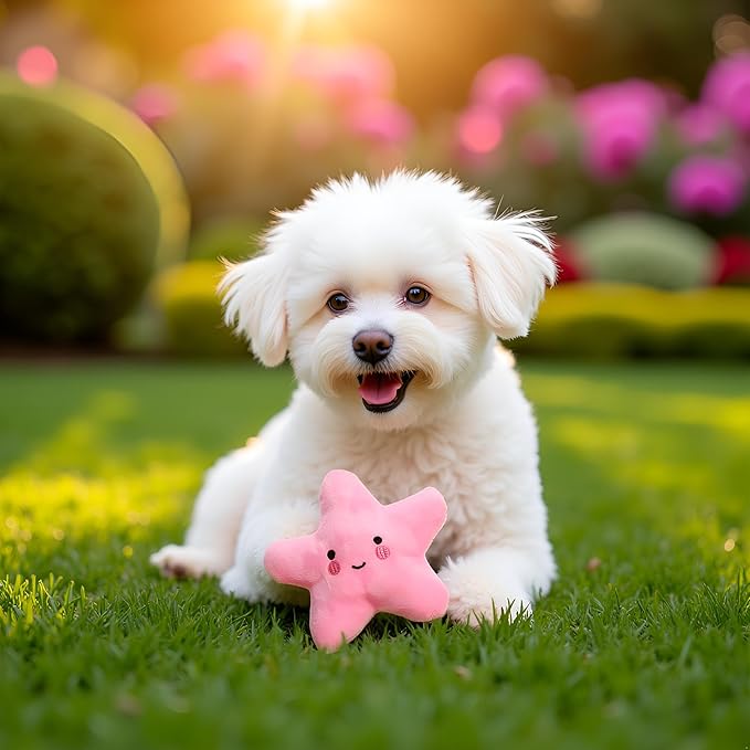 Pink Starfish Squeaky Dog Toy, Soft Plush Vocal Dog Plaything Pets Supplies Teddy Bichon, Squeaky Toys/Chew Toys for Medium Large Breed
