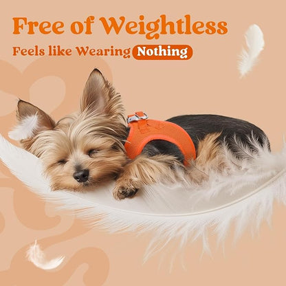 rabbitgoo Small Dog Harness, Step-in Soft Mesh Puppy Vest with Safety Buckle, Breathable Reflective Pet Harness for Extra Small Dogs, Orange XXXS