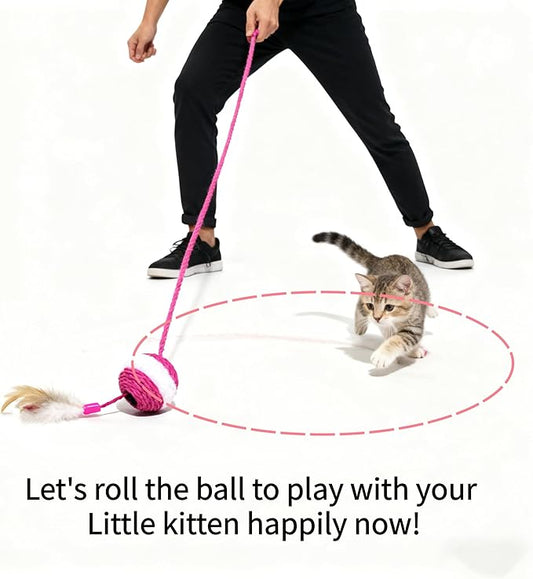 1x Hemp Ball Cat Toy,Six-Hole Hollow-Out Designed,Sisal Hemp Woven Cat Toy, Plume Bell Inside,Special Kitten Chew Toys for Indoor Cats,Interactive pet (Random Color Delivery, 6cm Ball)