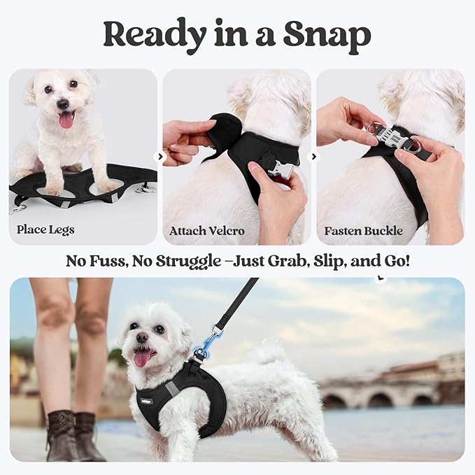 rabbitgoo Dog Harness Small Sized and Leash Set, Step in Soft Light Puppy Vest, Breathable Mesh Pet Harness, Reflective for Outdoor Safe Walking, Black XXL