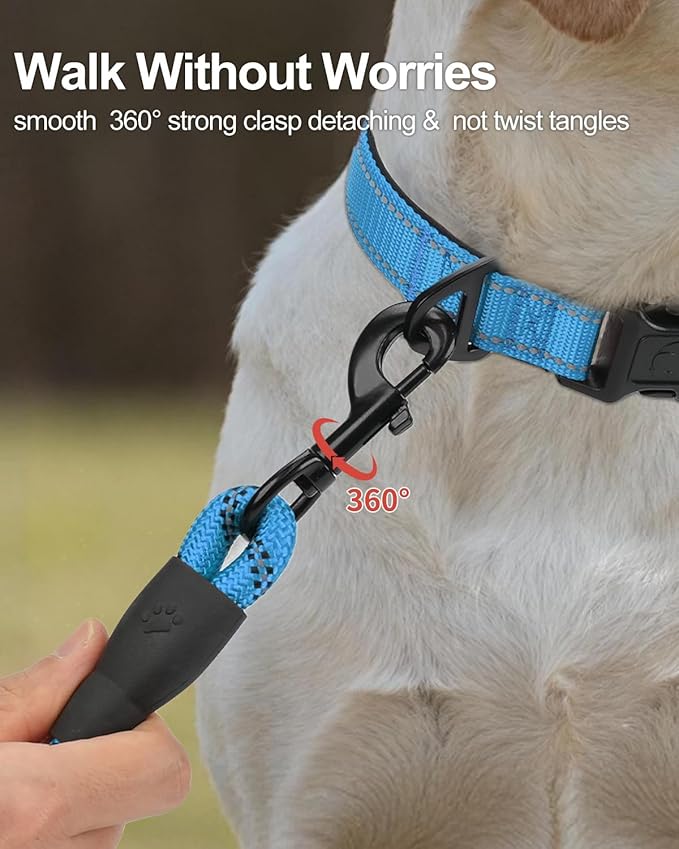 Joytale Dog Leash for Small Dogs, Heavy Duty Nylon Leashes with Comfortable Padded Handle and Highly Reflective Threads, Ideal for Walking and Training, SkyBlue, 5'×3/8‘’