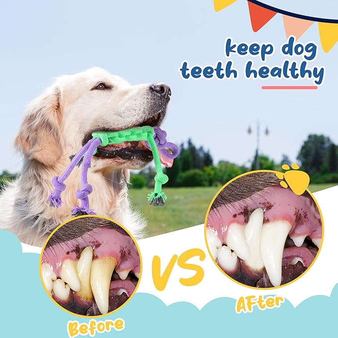 Soulchen 12 Pack Dog Rope Toys Dogs Chew Ball Toys for Large Medium Chewers Interactive Colorful Tug Rope Sets for Puppy Aggressive Chewers Puppies Boredom Teeth Cleaning Training