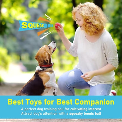 Prime Pets Dog Tennis Balls 4 Pack, 2" Durable High-Bounce Mini Tennis Balls for Dogs, Squeaky Dog Ball for Fetch & Training, Outdoor Interactive Dog Toy Ball for Small Dogs Puppy Puppies