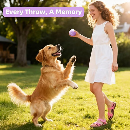 2.5" Dog Tennis Balls 6-Pack Silent Bounce, Tough Rubber Core, Durable Fetch & Training Toys for Indoor/Outdoor Play, for Small Medium Large Dogs (Light Purple, 6 Pack)