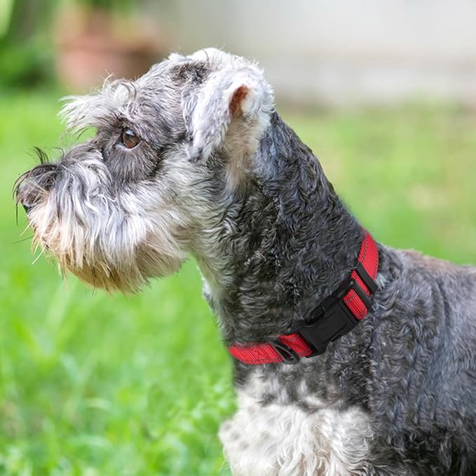 Joytale Reflective Dog Collar,Soft Neoprene Padded Breathable Nylon Pet Collar Adjustable for Medium Dogs,Red,M