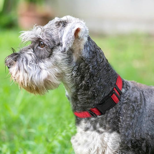 Joytale Reflective Dog Collar,Soft Neoprene Padded Breathable Nylon Pet Collar Adjustable for Medium Dogs,Red,M