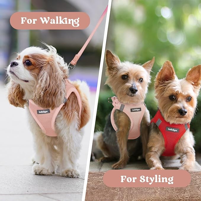 rabbitgoo Small Dog Harness, Step-in Soft Mesh Puppy Vest with Safety Buckle, Breathable Reflective Pet Harness for Small Sized Dogs, Pink XS