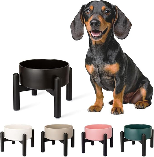 Raised Ceramic Dog Bowl - Elevated Food Water Dish with Stainless Steel Stand - for Small to Medium Dogs - 6 Inch - 2 Cups (28.75 fl oz) - Black