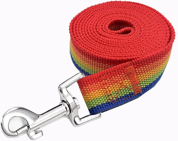 Strong Nylon Dog Leash, 4FT/ 5 FT/ 6FT Dog Leashes for Medium Large Dogs (5FT, Rainbow)