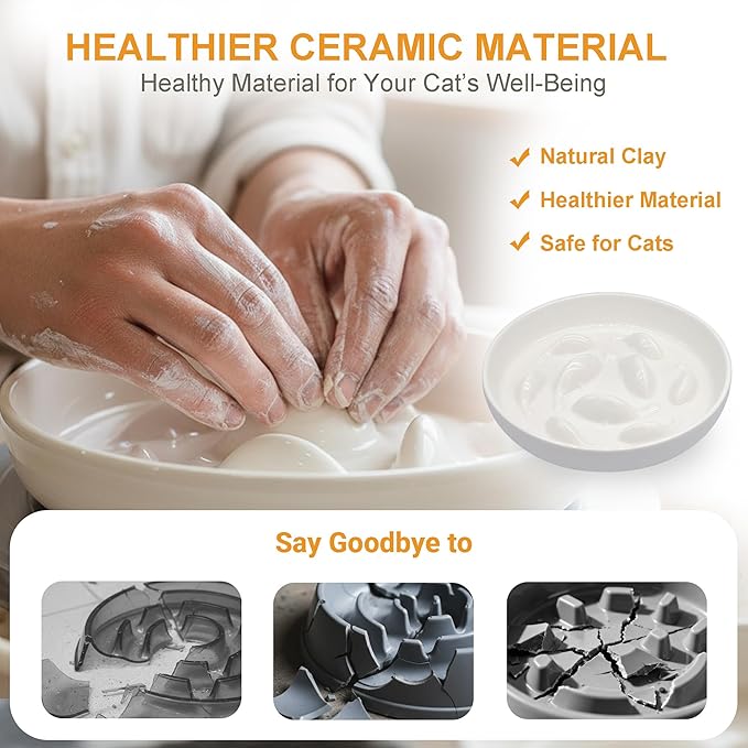Anti-Bloat Ceramic Slow Feeder Bowl - Fish Pool Design Interactive Puzzle Feeder for Cats & Small Dogs, Food-Safe Porcelain Healthy Eating Dish (White-Ceramic)