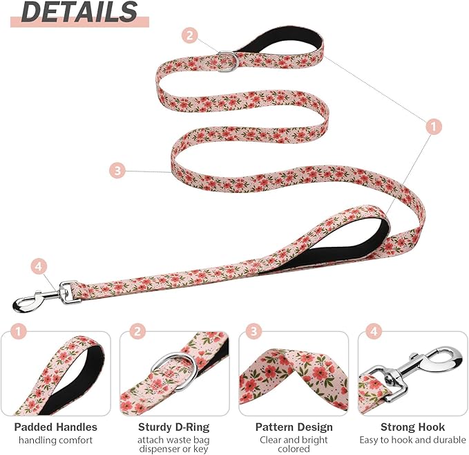 Hikiko Double Handle Dog Leash 6 Foot Cute Girl Padded Traffic Handles for Walking Training (Cream Natural Floral, 6ft)