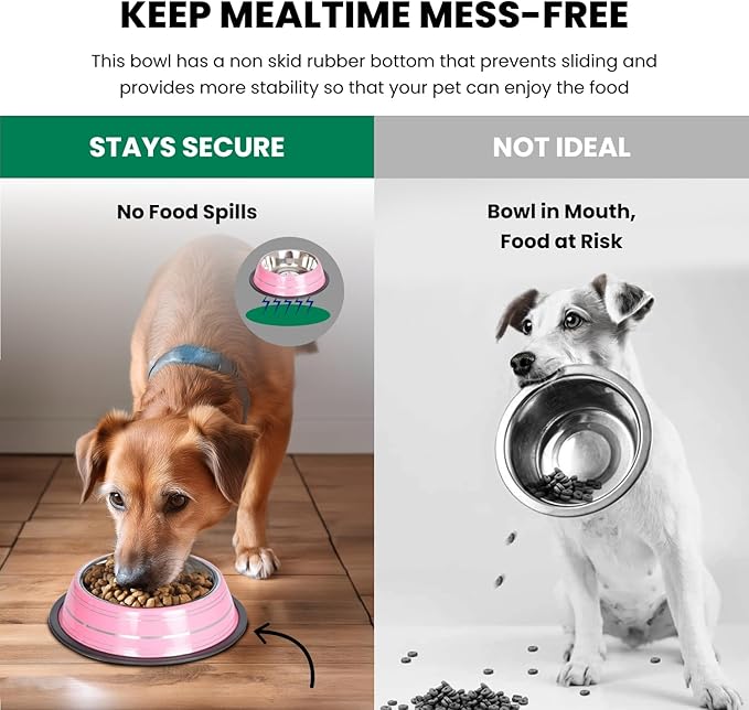 Iconic Pet 3 Cup/24 Oz Elegant Stainless Steel Color Splash Food/Water Bowl with Non Skid, Noise Free, Removable Rubber Ring - Dog/ Cat Feeding Bowl In color shade, Dishwasher Safe - Pink, 2 Bowls