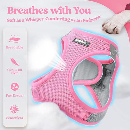 rabbitgoo Dog Harness Small Sized and Leash Set, Step in Soft Light Puppy Vest, Breathable Mesh Pet Harness, Reflective for Safe Easy Walking, Pink & Gray S