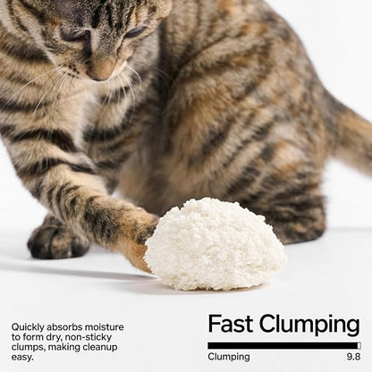 pidan Cassava Cat Litter clumping,Odor Control,Plant-Based Natural Ingredients,Ultra Absorbent and Fast Drying,No Dust,Unscented (5.3lb×4bags)