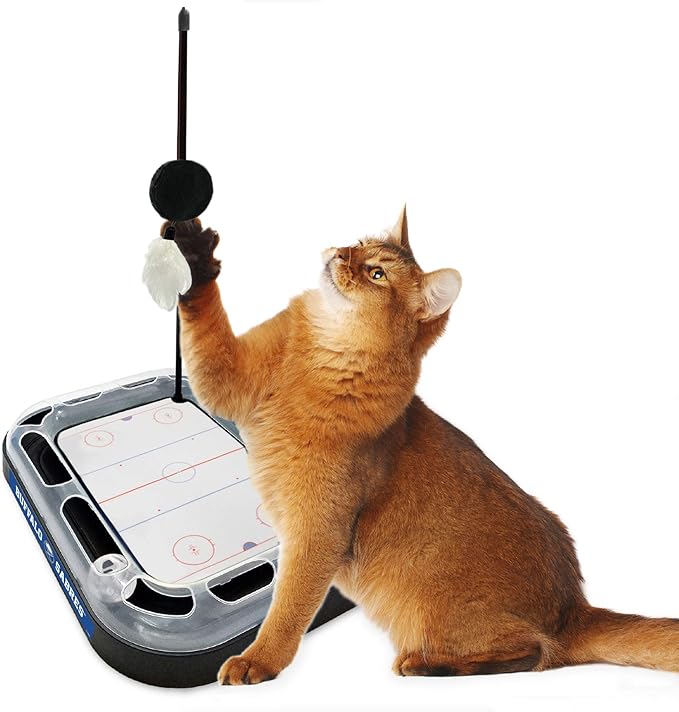 Pets First 5-in-1 NHL Buffalo Sabres Hockey Field Cat Scratcher Toy with Interactive Cat Ball Bell